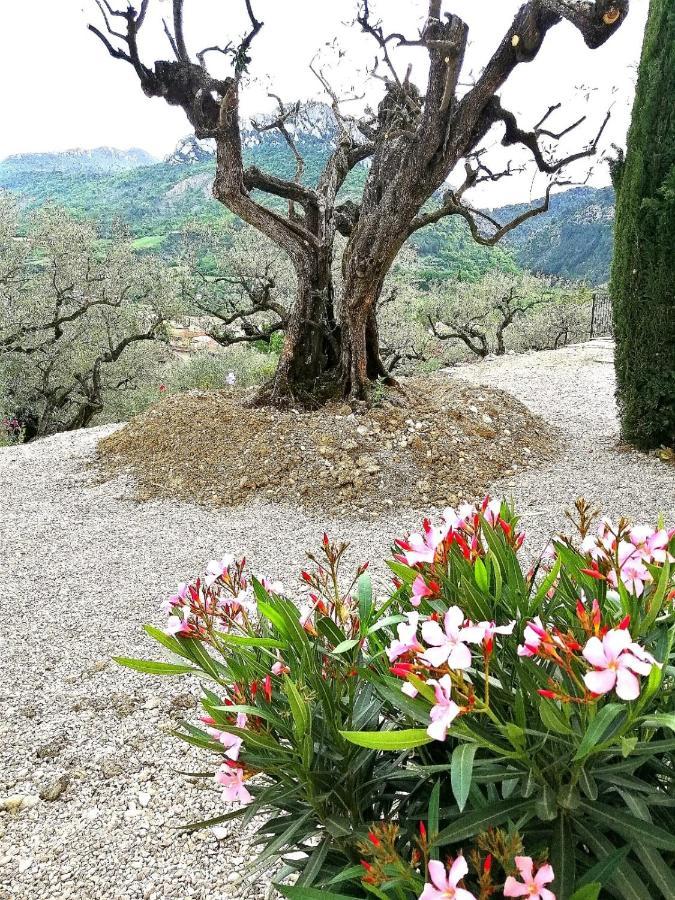 Le Mas Christine Bed & Breakfast Buis-les-Baronnies Dış mekan fotoğraf