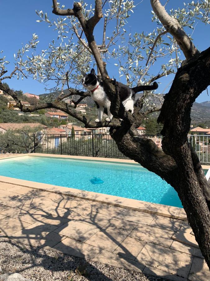 Le Mas Christine Bed & Breakfast Buis-les-Baronnies Dış mekan fotoğraf